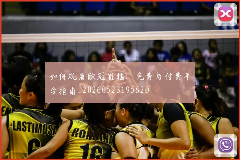 如何观看欧冠直播:免费与付费平台指南_20260523195620