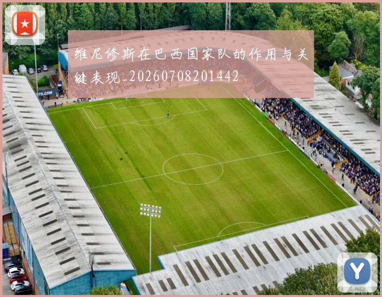维尼修斯在巴西国家队的作用与关键表现_20260708201442