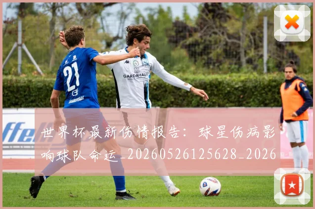 世界杯最新伤情报告:球星伤病影响球队命运_20260526125628_20260702173843